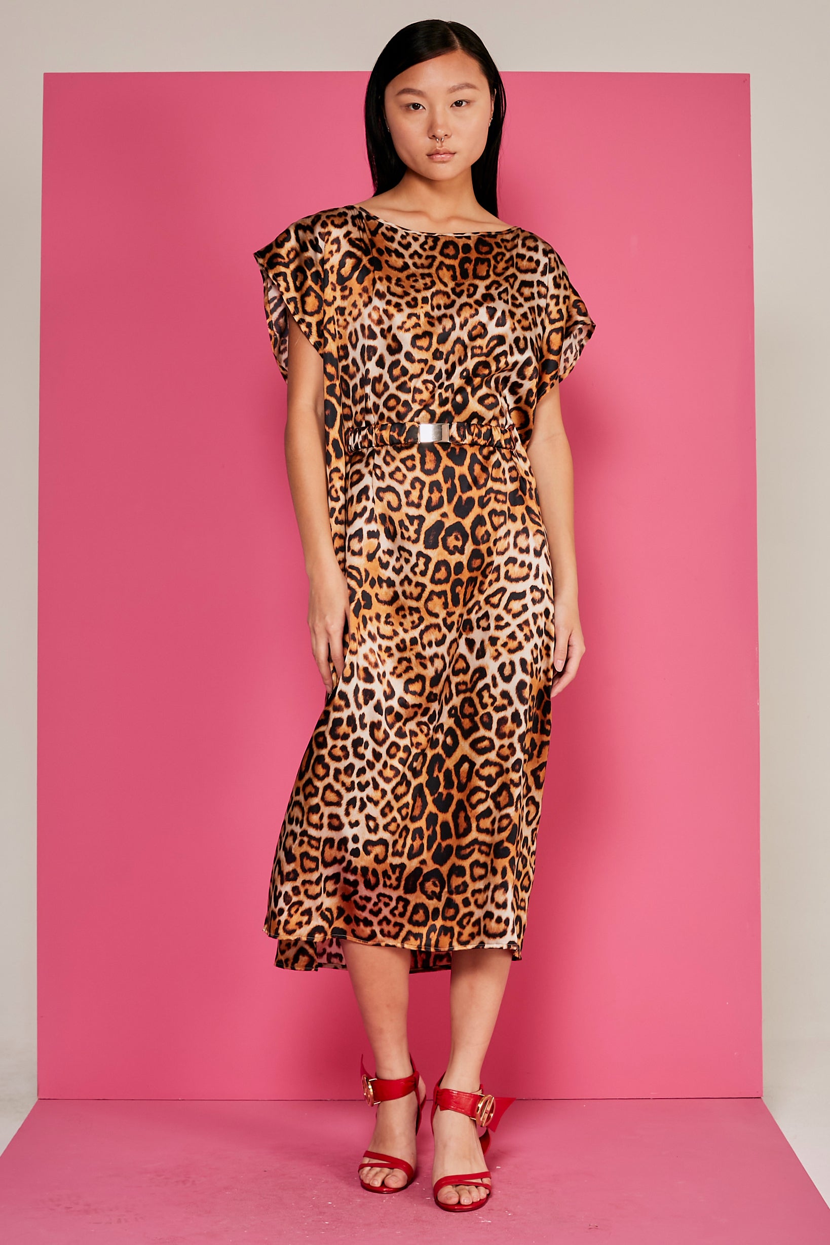 #color_animal print