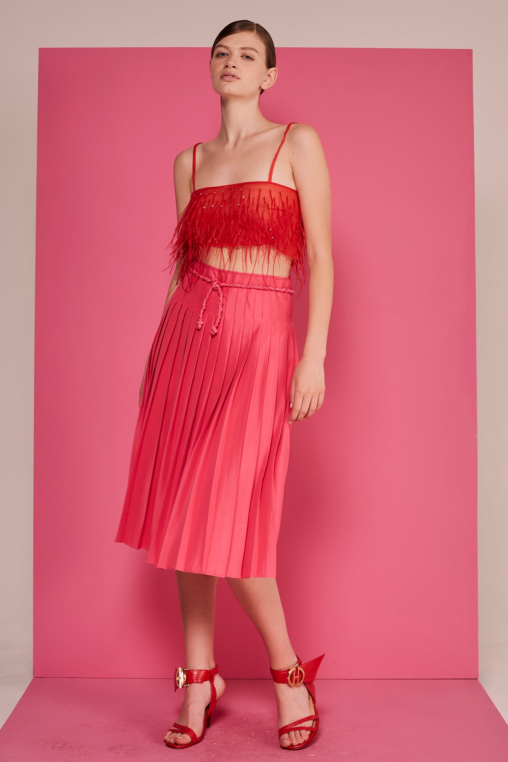 #color_fuchsia