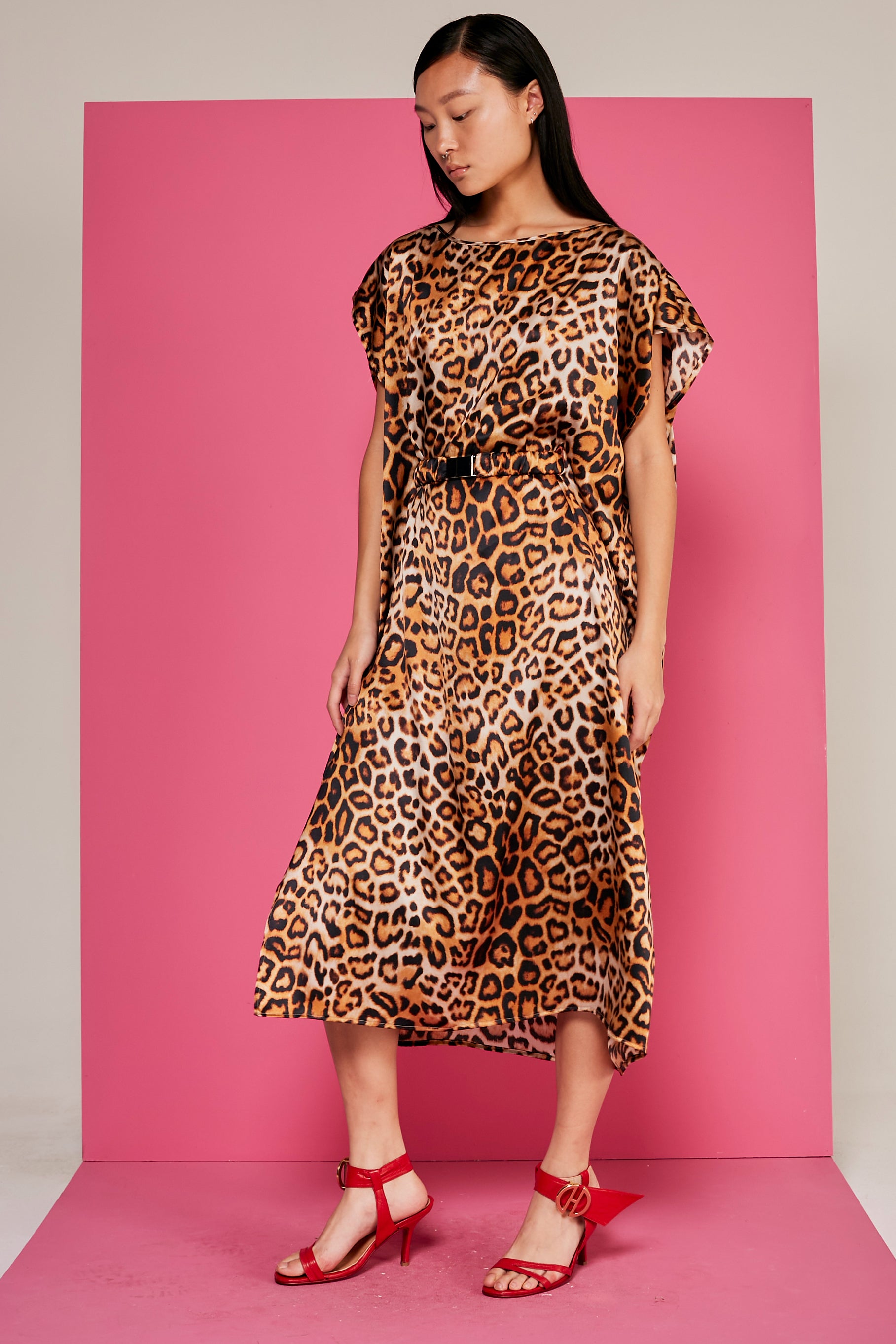 #color_animal print