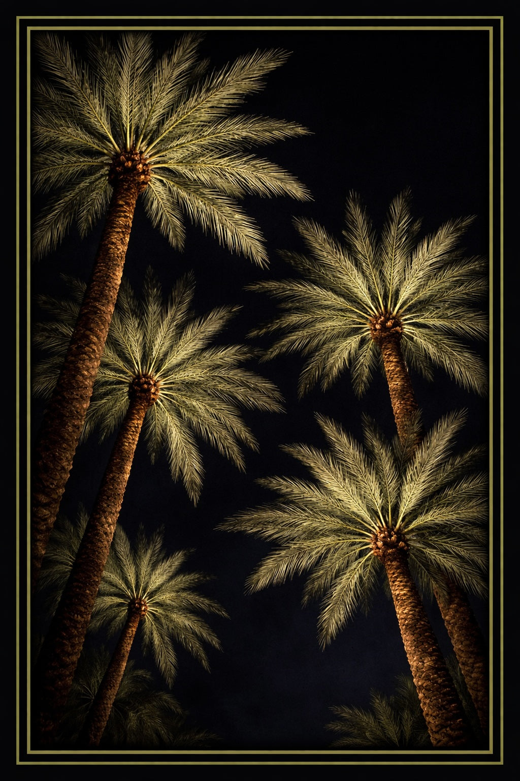 Palm Trees Square 36
